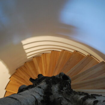 Eine Wendeltreppe, die sich um einen noch ganzen Baumstamm mit Rinde windet. Der Blick ist vom oberen Ende der Treppe abwärts gerichtet.